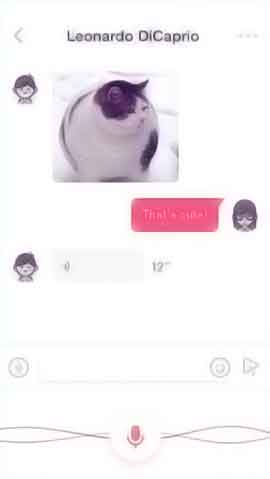 网站攻击源码软件程序维护界面